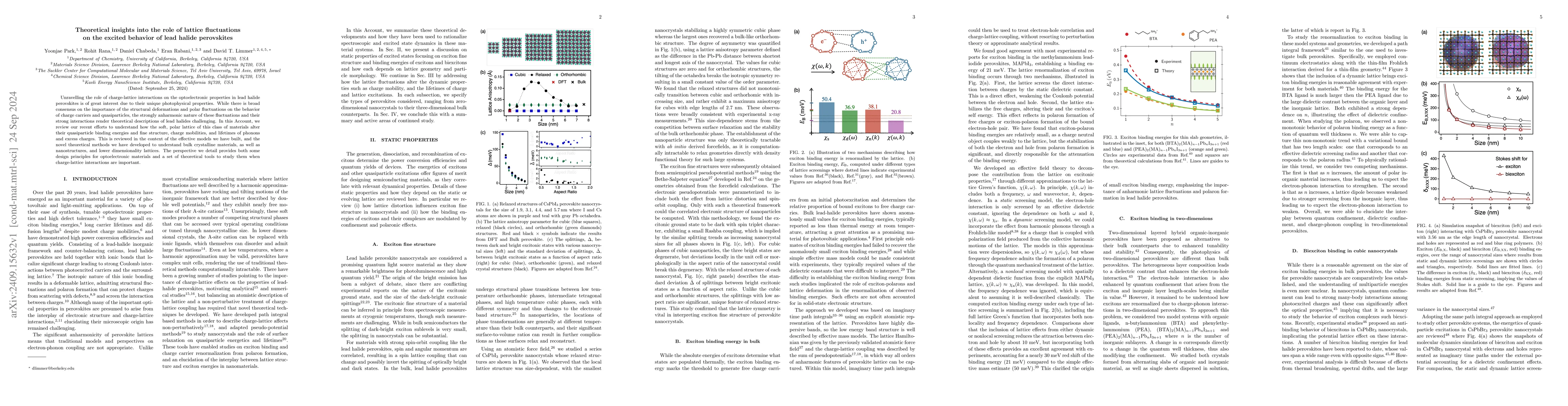 Thumbnail for Theoretical insights into the role of lattice fluctuations on the
  excited behavior of lead halide perovskites