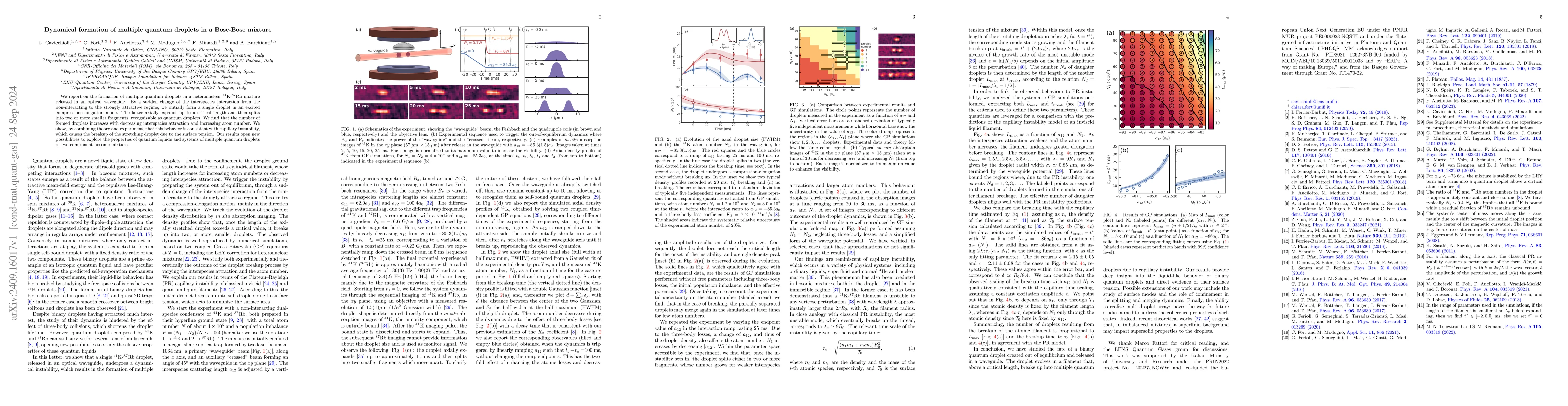Thumbnail for Dynamical formation of multiple quantum droplets in a Bose-Bose mixture