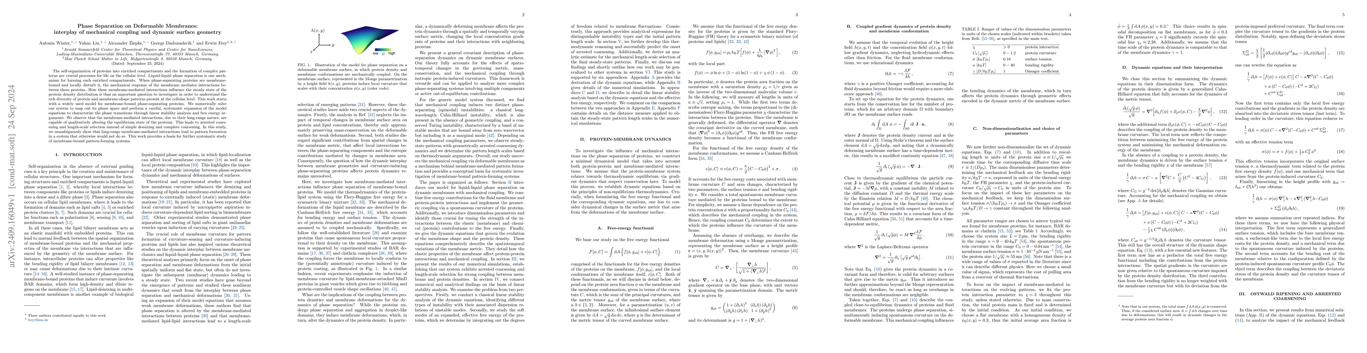 Thumbnail for Phase Separation on Deformable Membranes: interplay of mechanical
  coupling and dynamic surface geometry