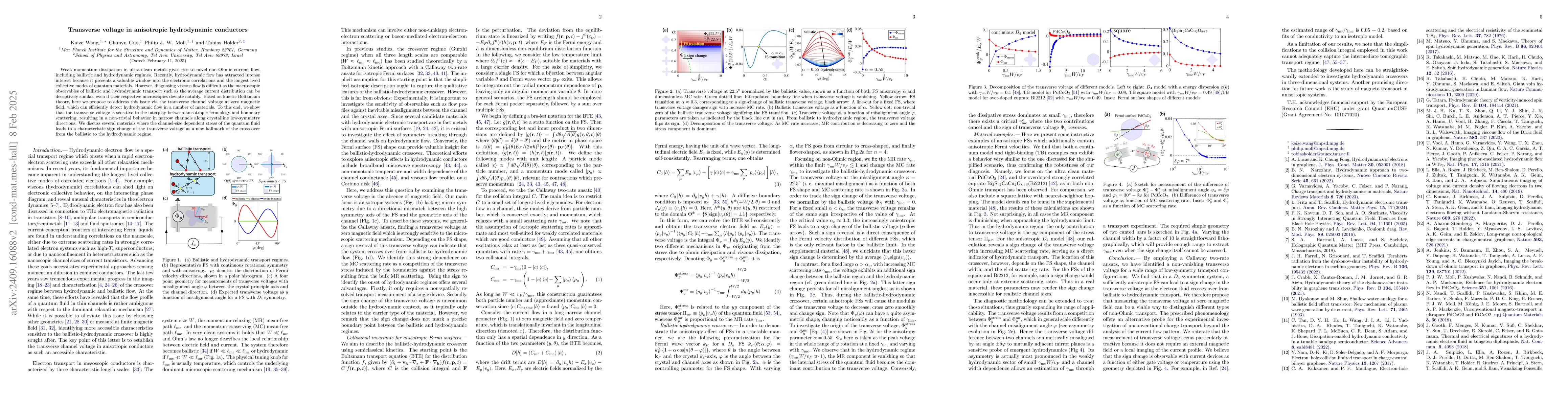 Thumbnail for Transverse voltage in anisotropic hydrodynamic conductors