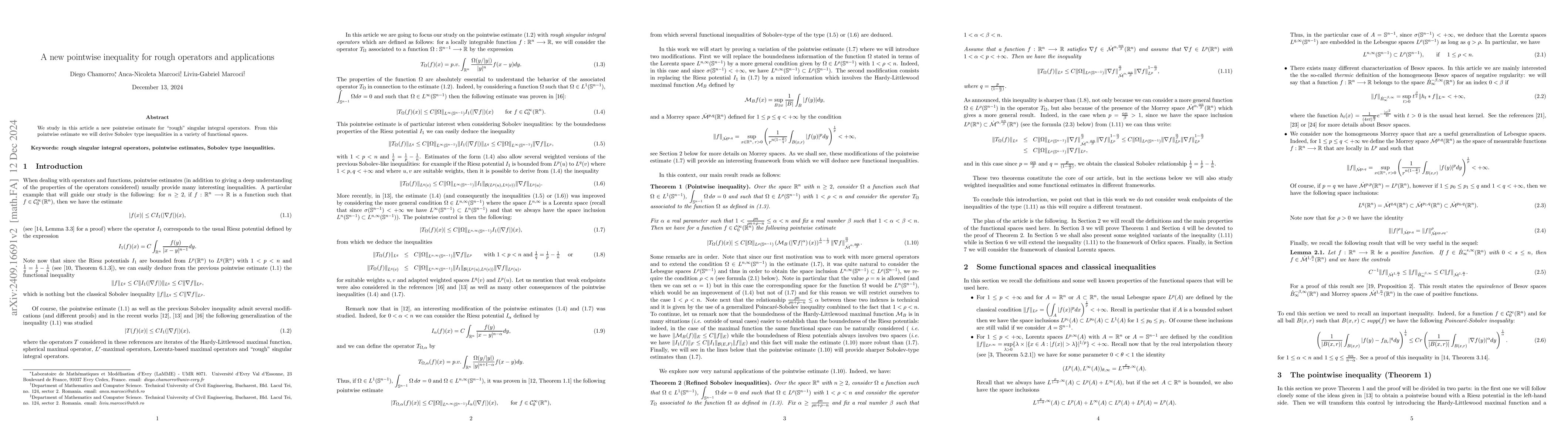Thumbnail for A new pointwise inequality for rough operators and applications