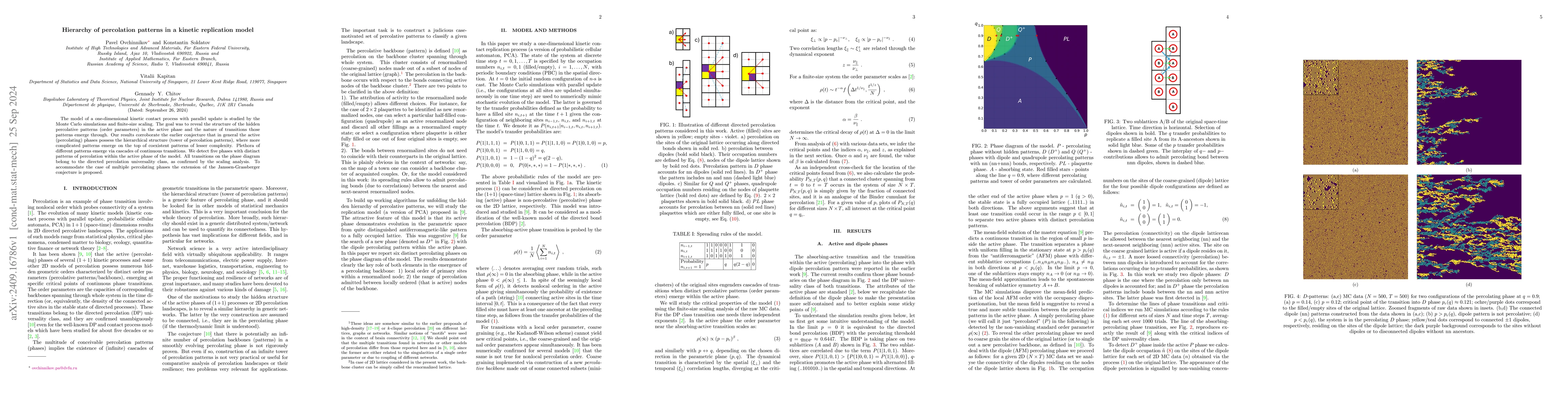 Thumbnail for Hierarchy of percolation patterns in a kinetic replication model