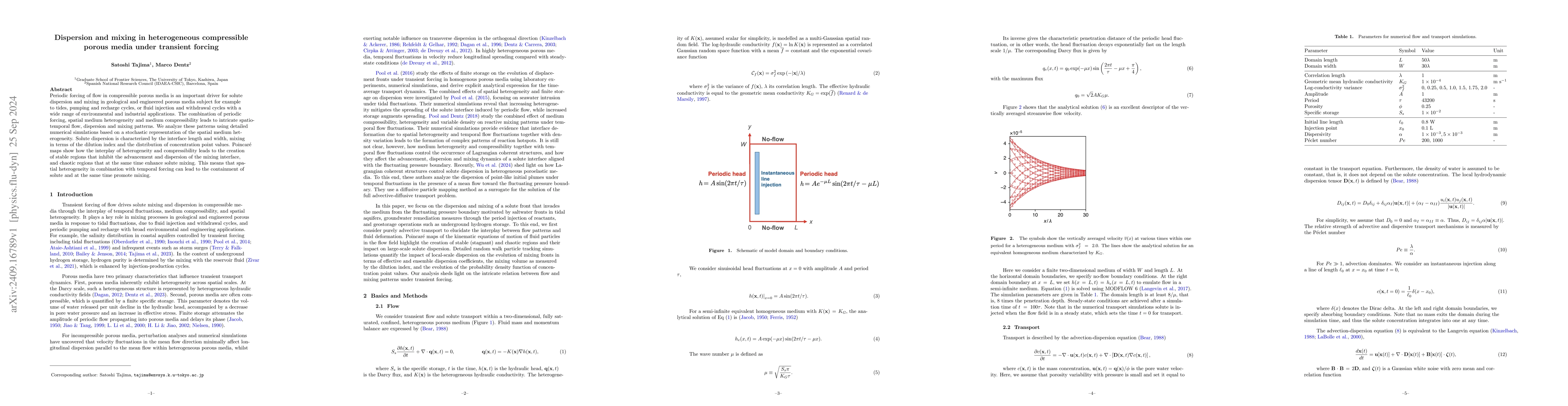 Thumbnail for Dispersion and mixing in heterogeneous compressible porous media under
  transient forcing