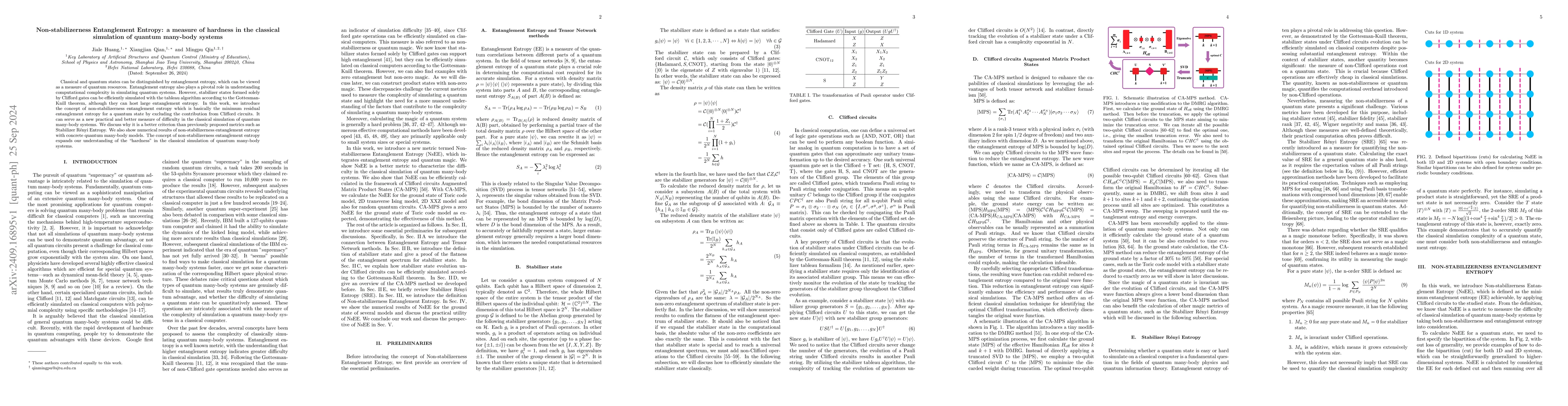 Thumbnail for Non-stabilizerness Entanglement Entropy: a measure of hardness in the
  classical simulation of quantum many-body systems