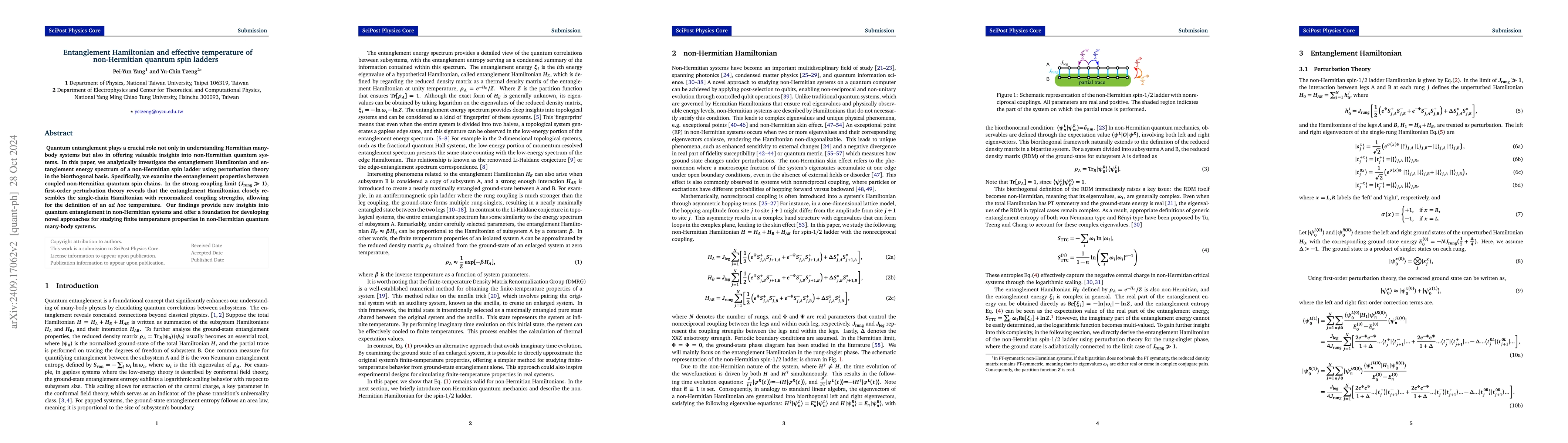 Thumbnail for Entanglement Hamiltonian and effective temperature of non-Hermitian
  quantum spin ladders