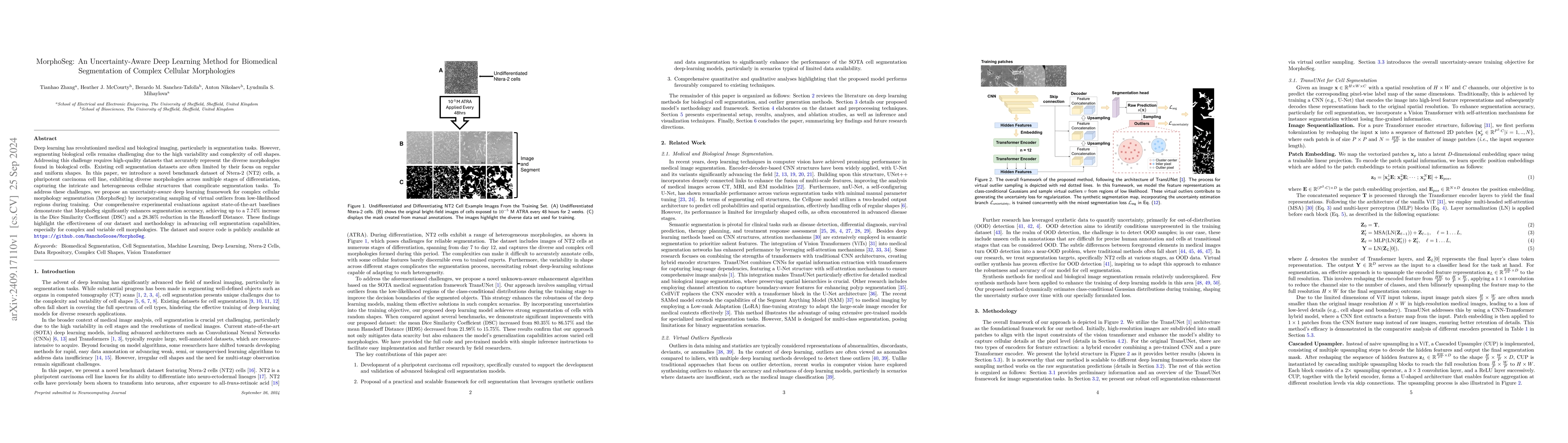 Thumbnail for MorphoSeg: An Uncertainty-Aware Deep Learning Method for Biomedical
  Segmentation of Complex Cellular Morphologies
