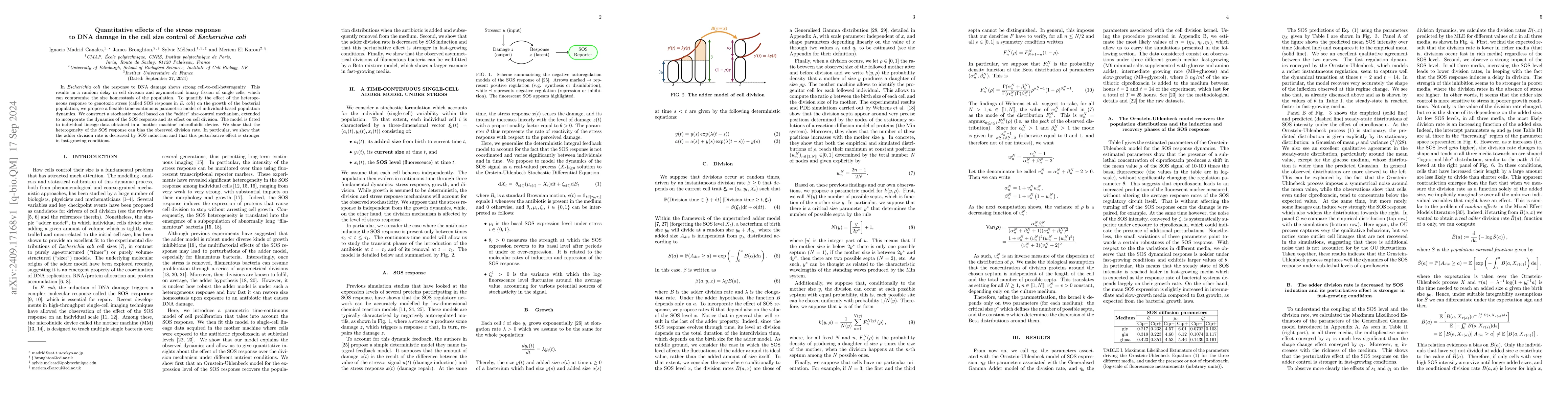 Thumbnail for Quantitative effects of the stress response to DNA damage in the cell
  size control of Escherichia coli