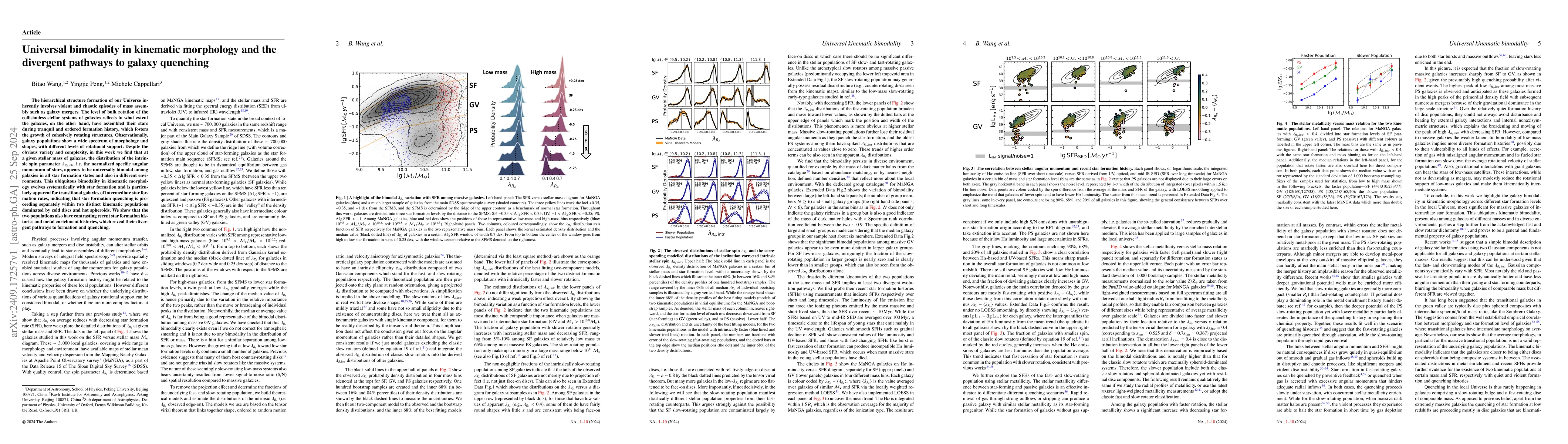 Thumbnail for Universal bimodality in kinematic morphology and the divergent pathways
  to galaxy quenching