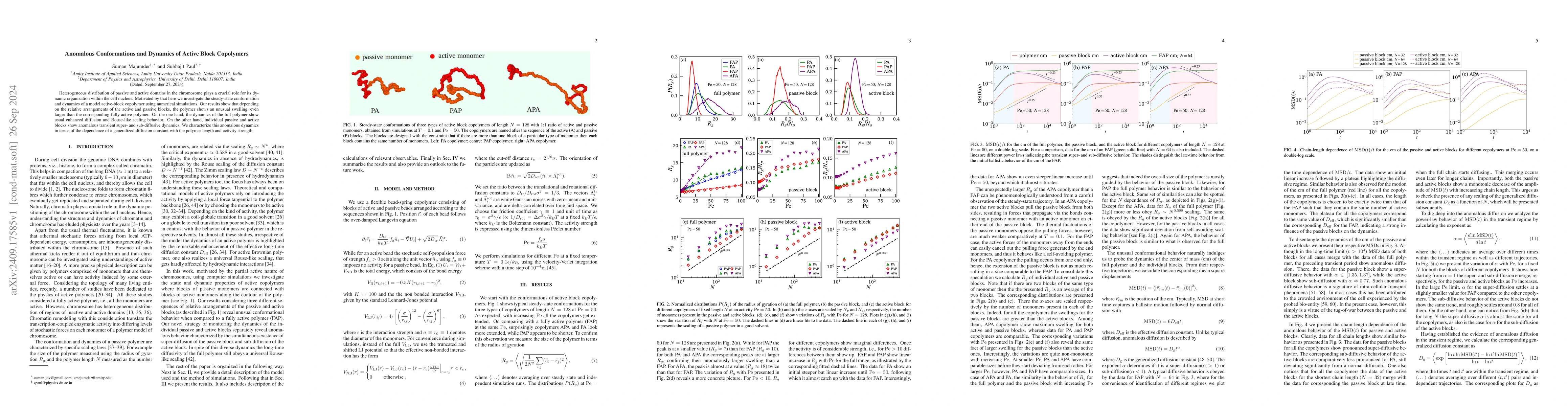 Thumbnail for Anomalous Conformations and Dynamics of Active Block Copolymers