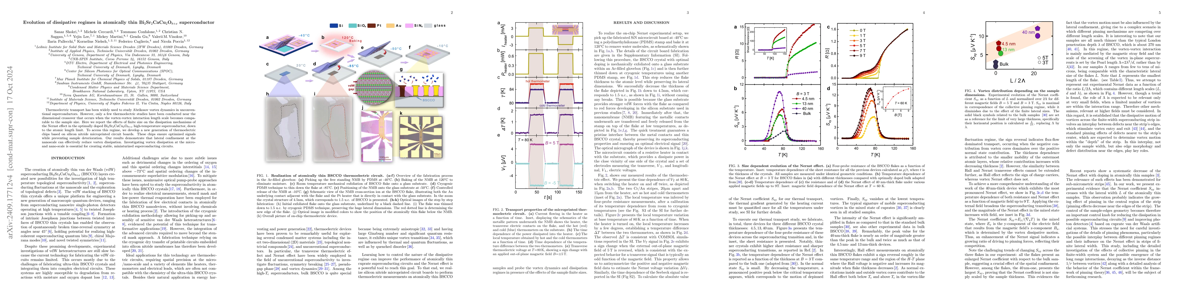 Thumbnail for Evolution of dissipative regimes in atomically thin
  $\text{Bi}_{2}\text{Sr}_{2}\text{CaCu}_{2}\text{O}_{8+x}$ superconductor