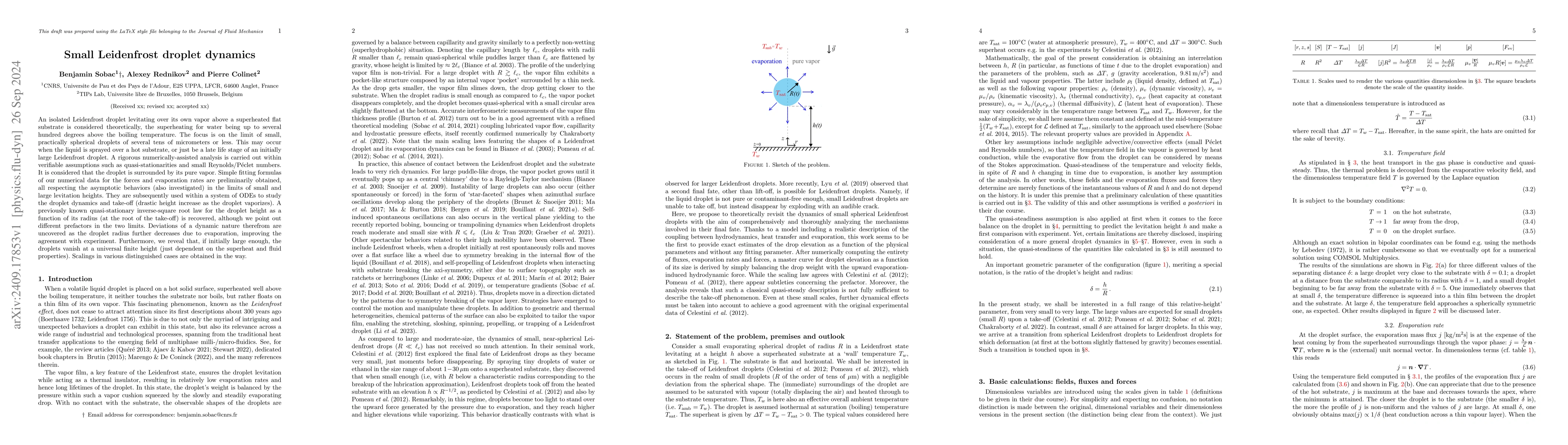 Thumbnail for Small Leidenfrost droplet dynamics