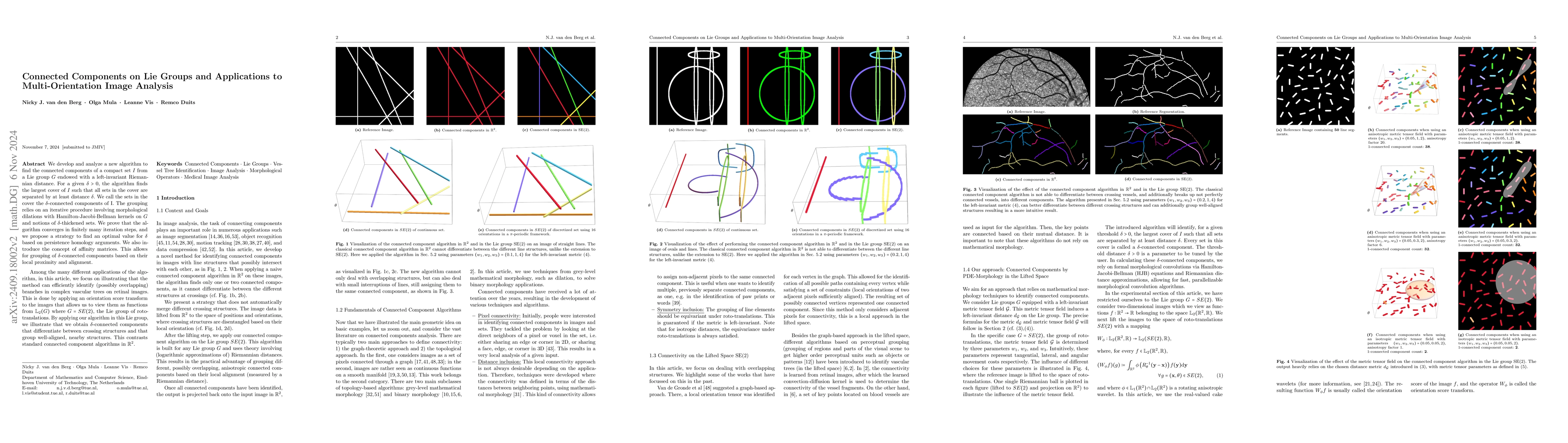 Thumbnail for Connected Components on Lie Groups and Applications to Multi-Orientation
  Image Analysis