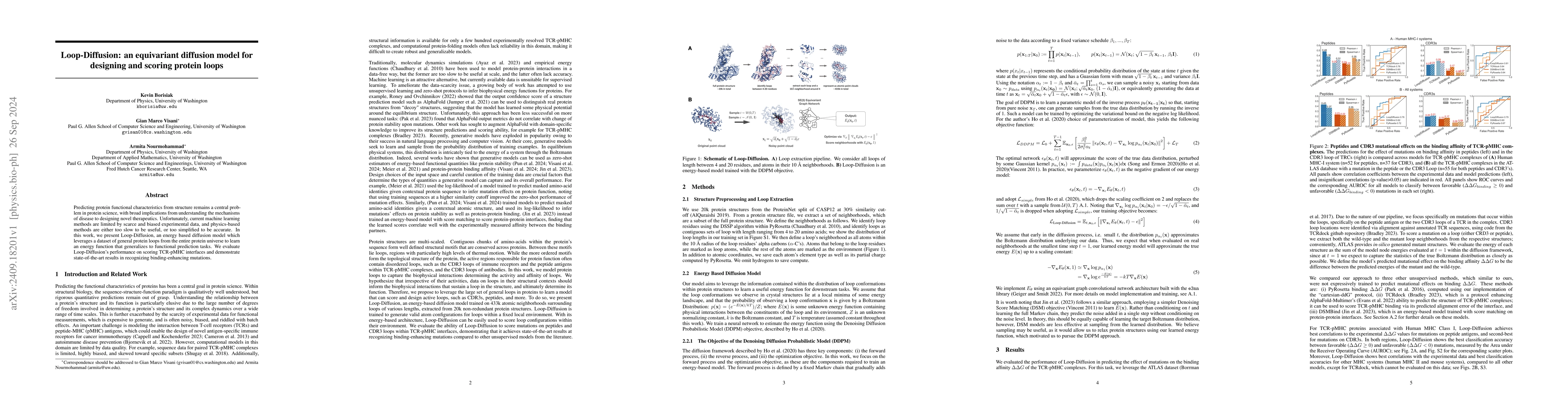 Thumbnail for Loop-Diffusion: an equivariant diffusion model for designing and scoring
  protein loops