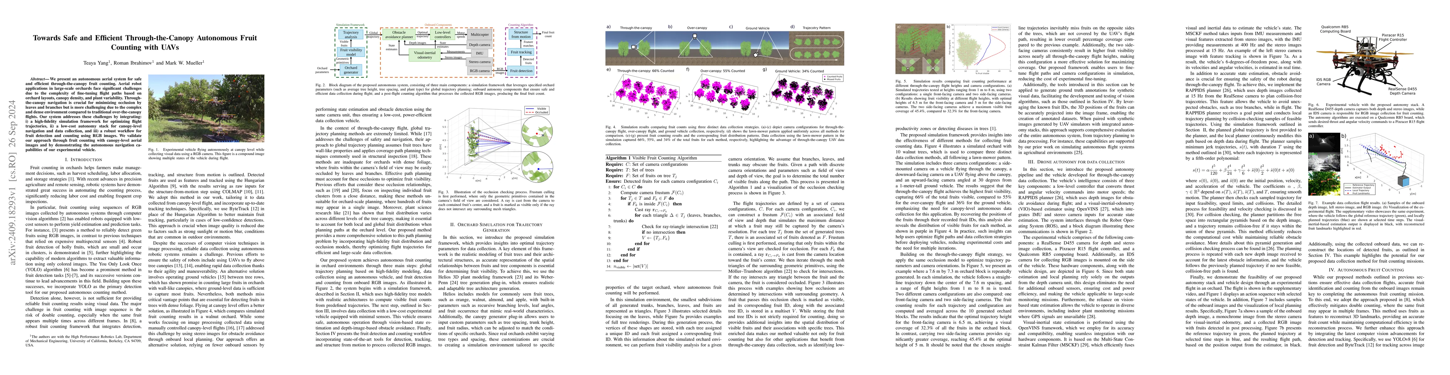 Thumbnail for Towards Safe and Efficient Through-the-Canopy Autonomous Fruit Counting
  with UAVs