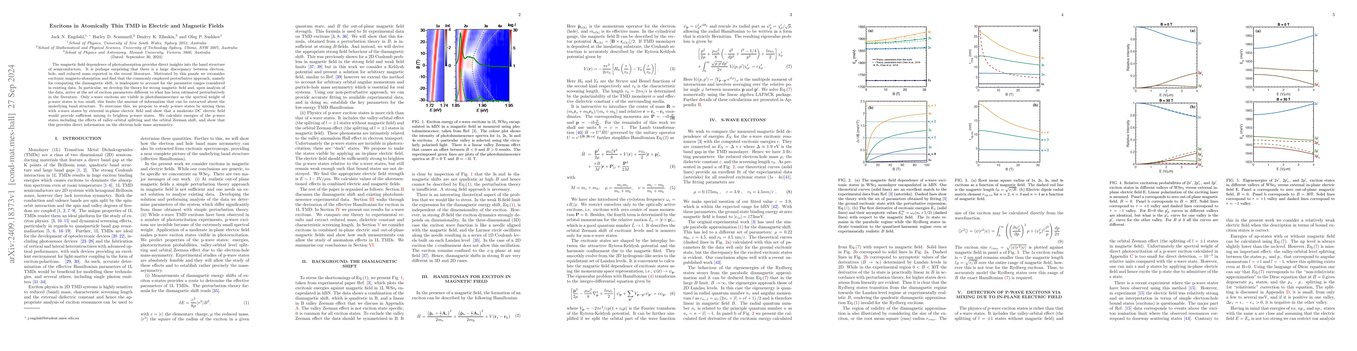 Thumbnail for Excitons in Atomically Thin TMD in Electric and Magnetic Fields