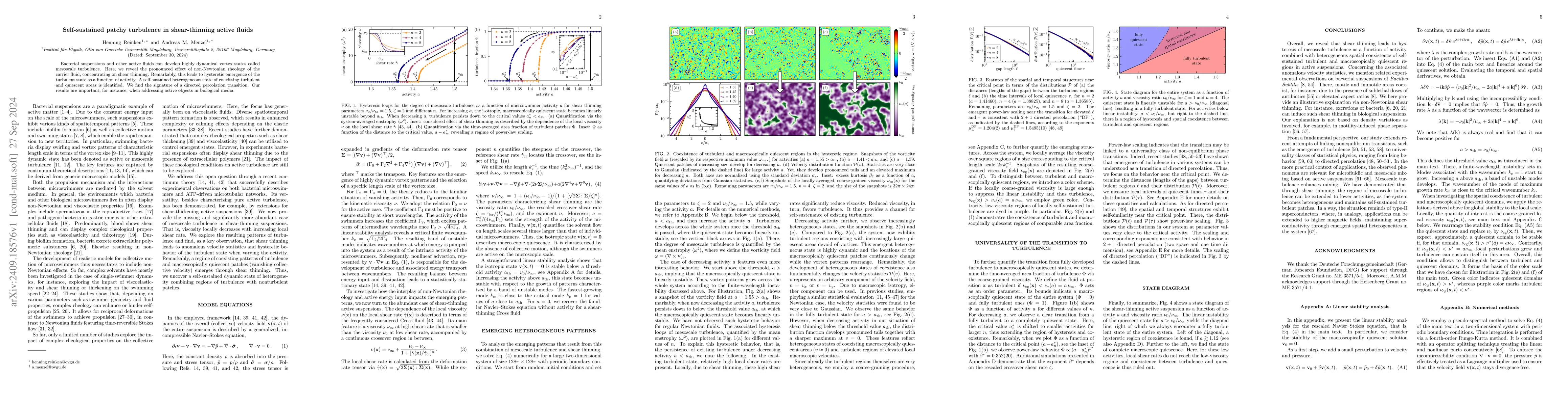 Thumbnail for Self-sustained patchy turbulence in shear-thinning active fluids