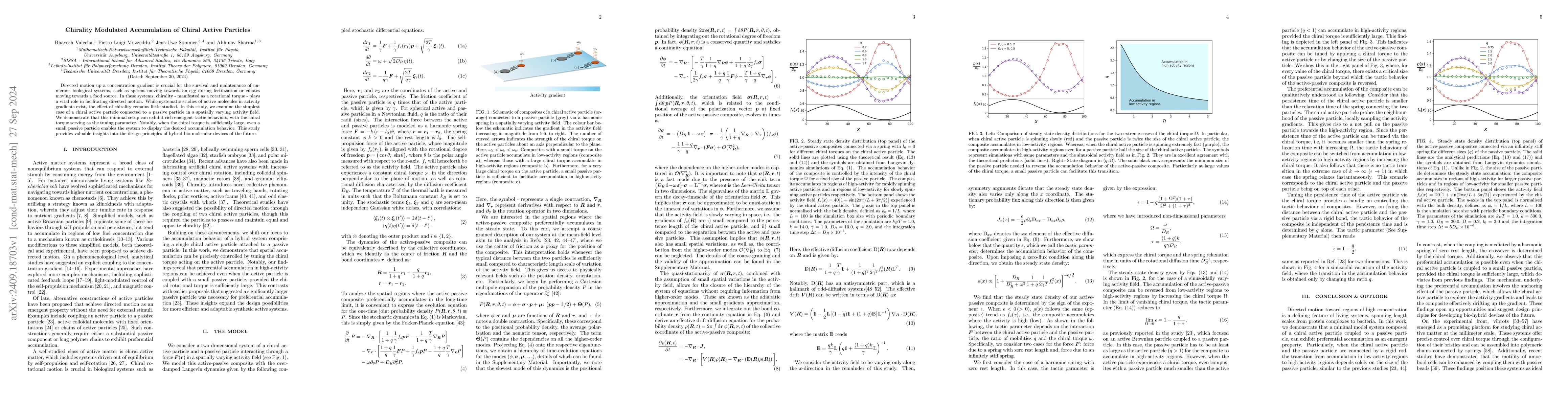 Thumbnail for Chirality Modulated Accumulation of Chiral Active Particles