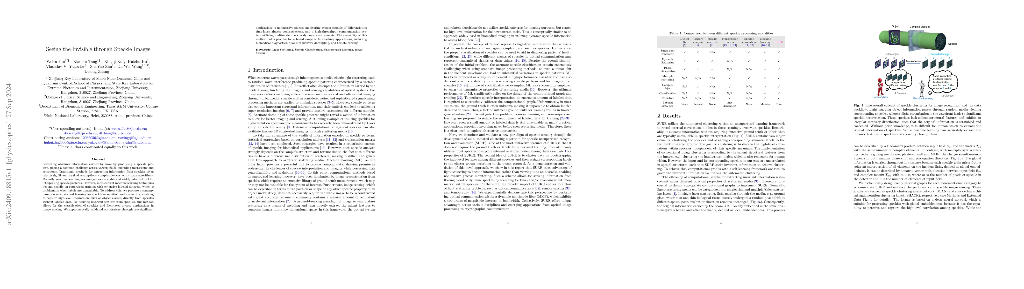 Thumbnail for Seeing the Invisible through Speckle Images