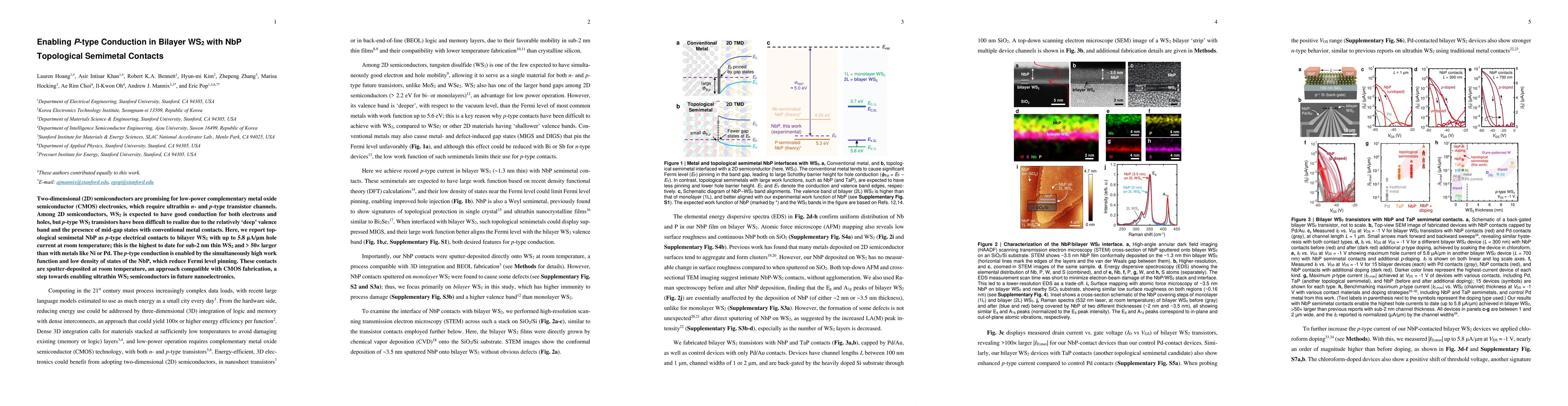 Thumbnail for Enabling P-type Conduction in Bilayer WS2 with NbP Topological Semimetal
  Contacts