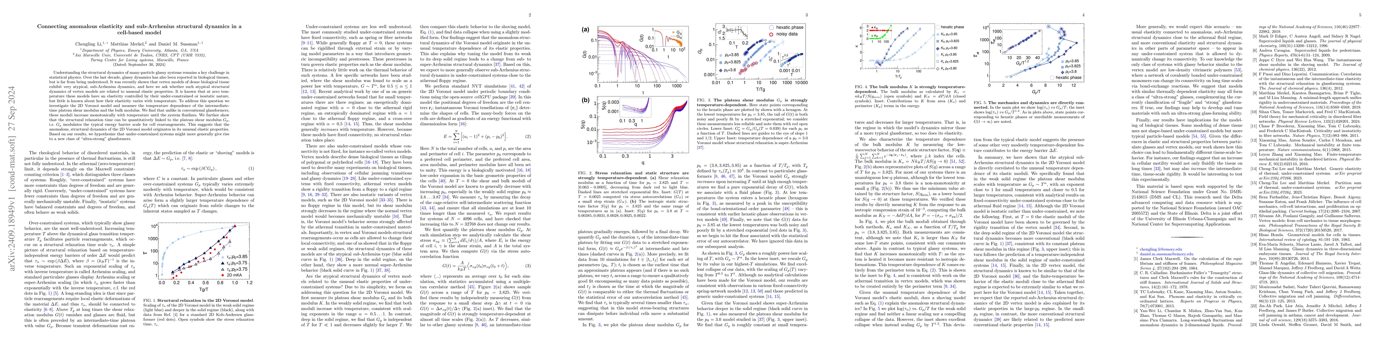 Thumbnail for Connecting anomalous elasticity and sub-Arrhenius structural dynamics in
  a cell-based model
