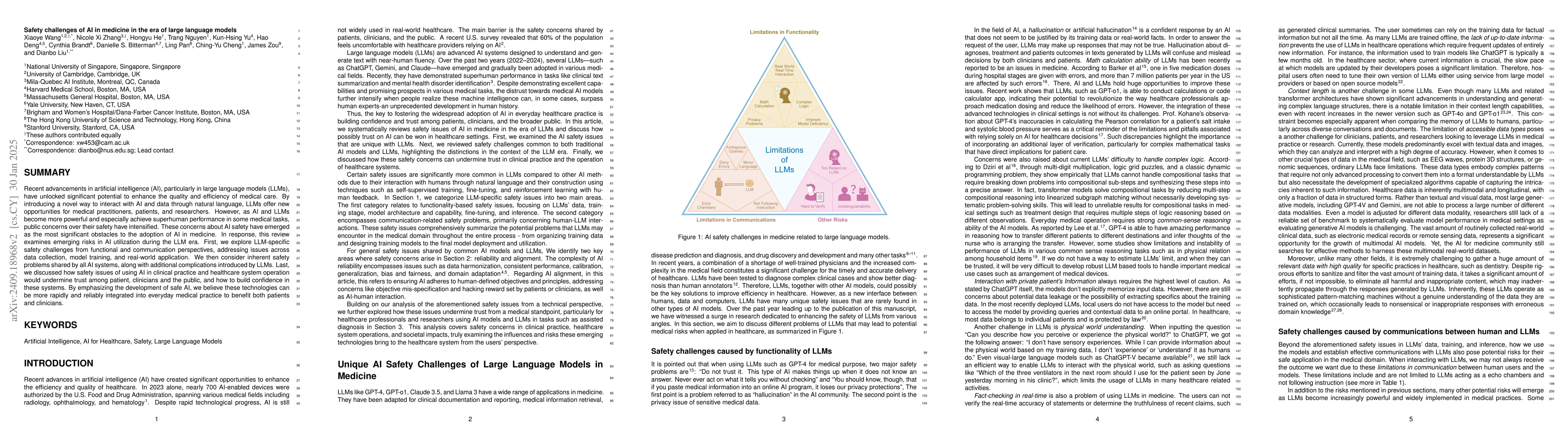 Thumbnail for Safety challenges of AI in medicine