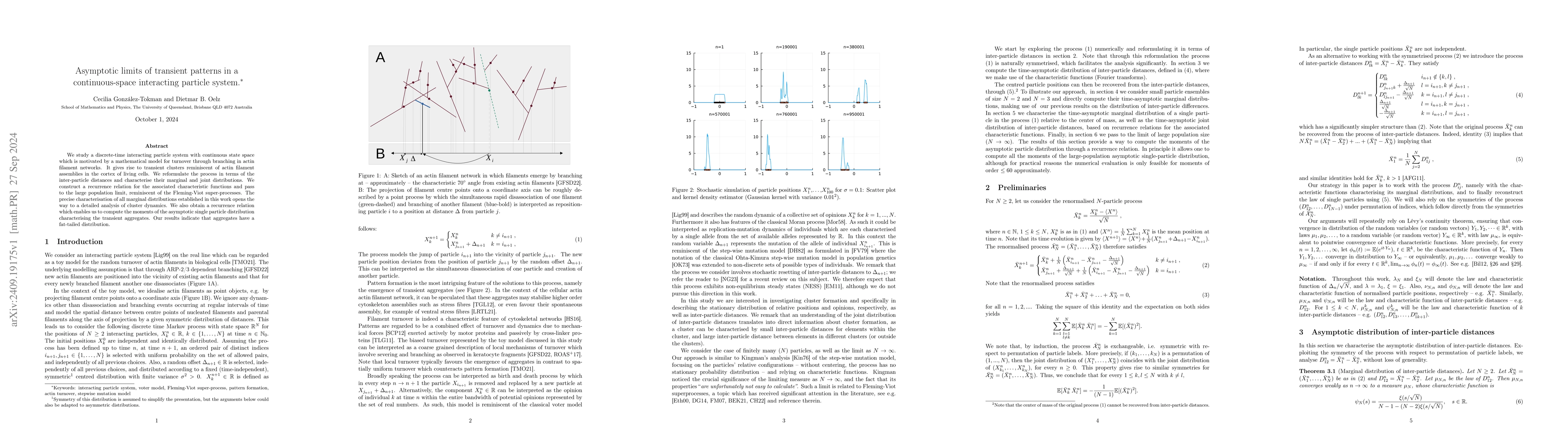 Thumbnail for Asymptotic limits of transient patterns in a continuous-space
  interacting particle system