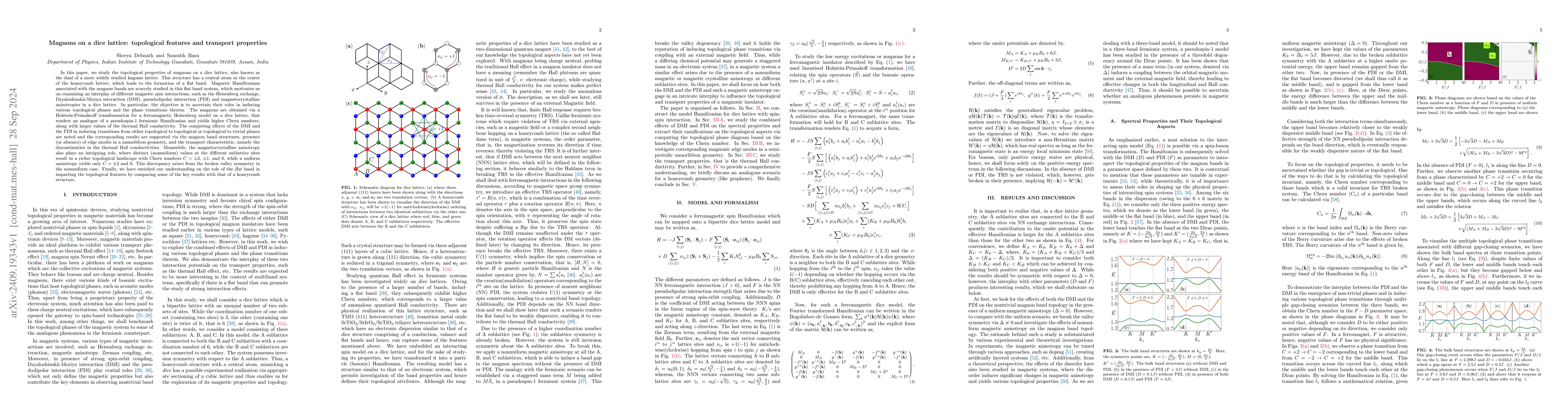 Thumbnail for Magnons on a dice lattice: topological features and transport properties