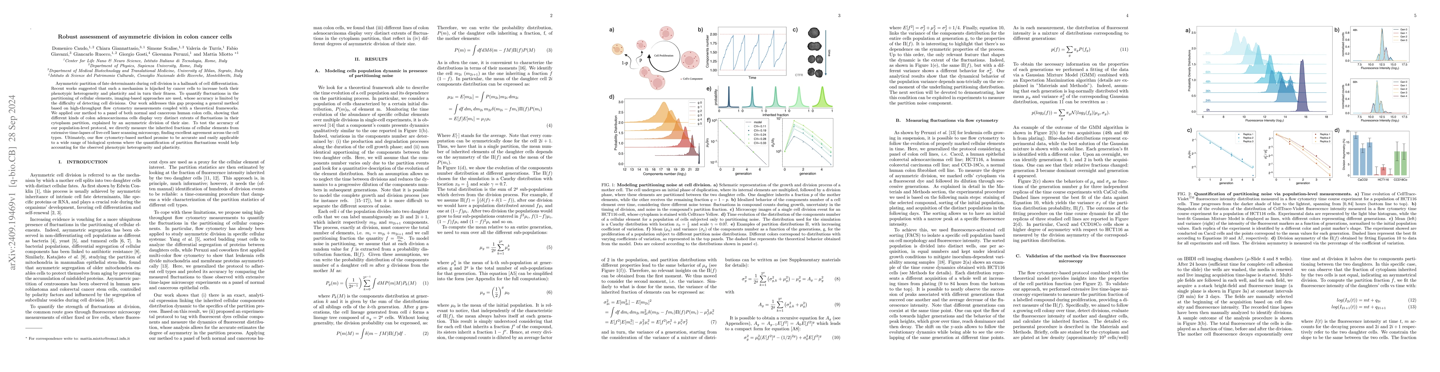 Thumbnail for Robust assessment of asymmetric division in colon cancer cells