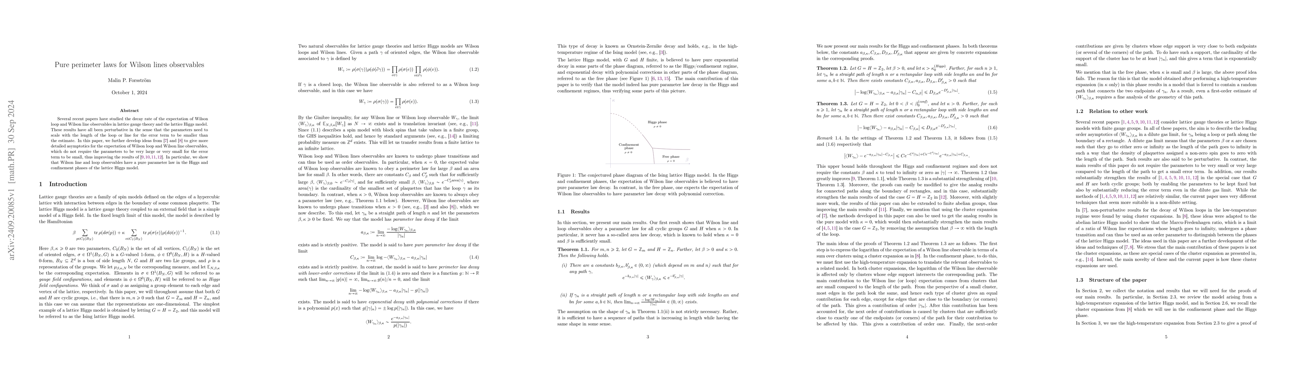 Thumbnail for Pure perimeter laws for Wilson lines observables