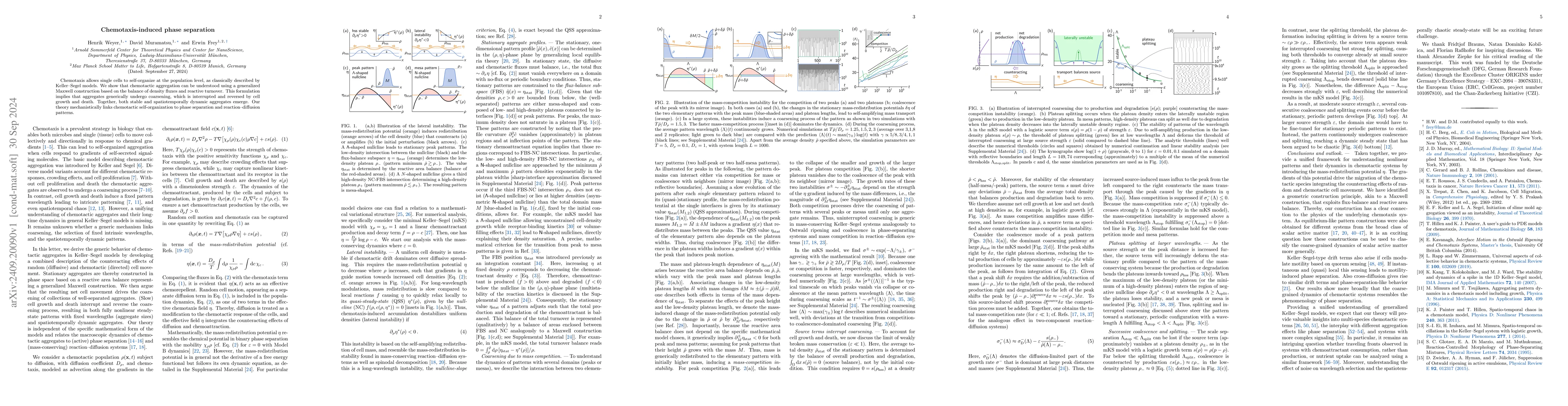 Thumbnail for Chemotaxis-induced phase separation