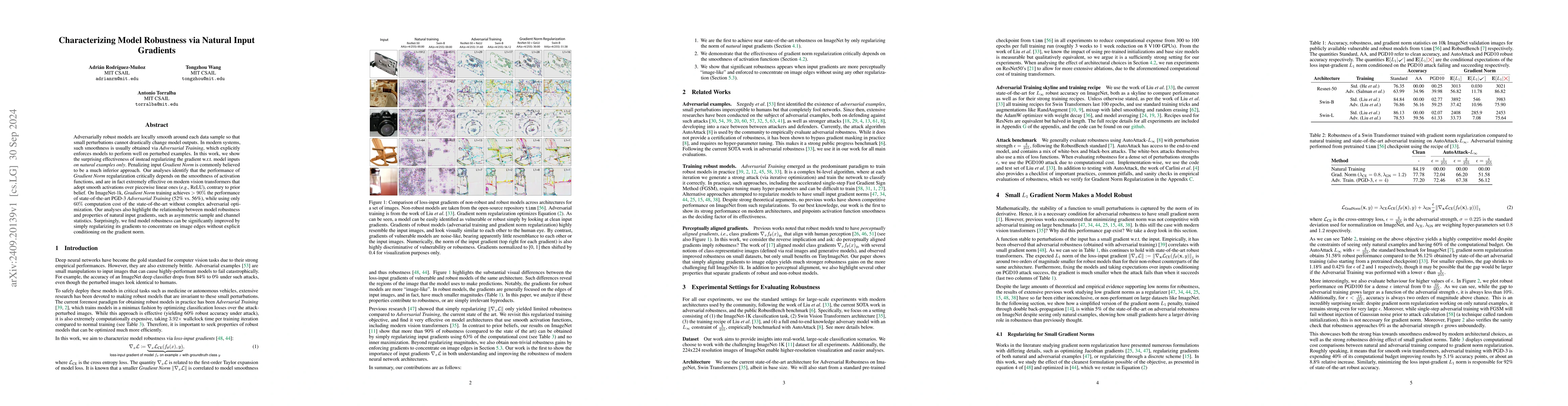 Thumbnail for Characterizing Model Robustness via Natural Input Gradients