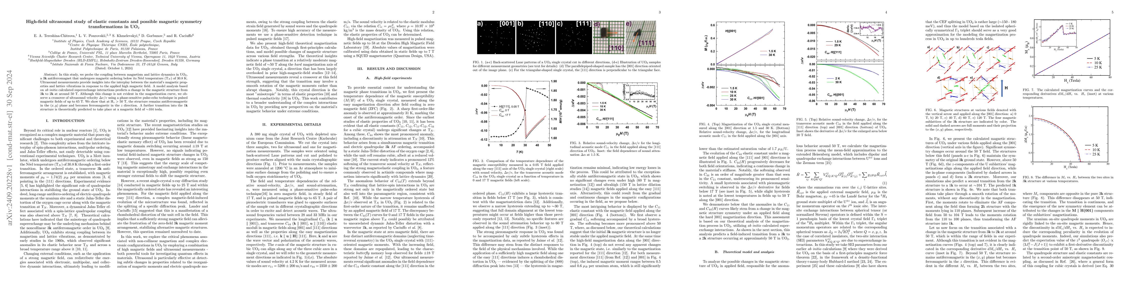 Thumbnail for High-field ultrasound study of elastic constants and possible magnetic
  symmetry transformations in UO2
