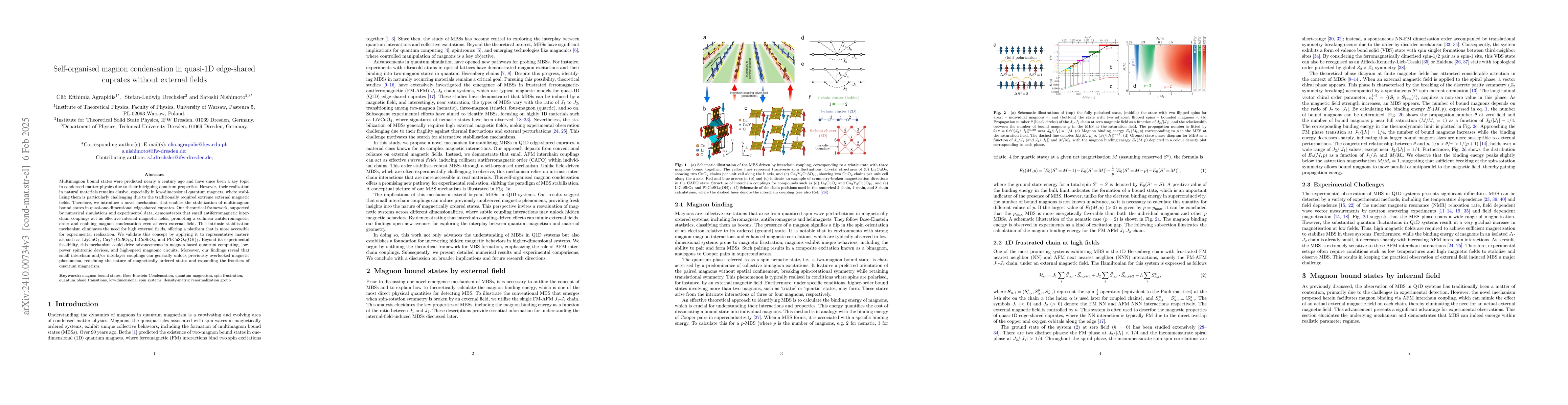 Thumbnail for Self-organized magnon condensation in quasi-one-dimensional edge-shared
  cuprates