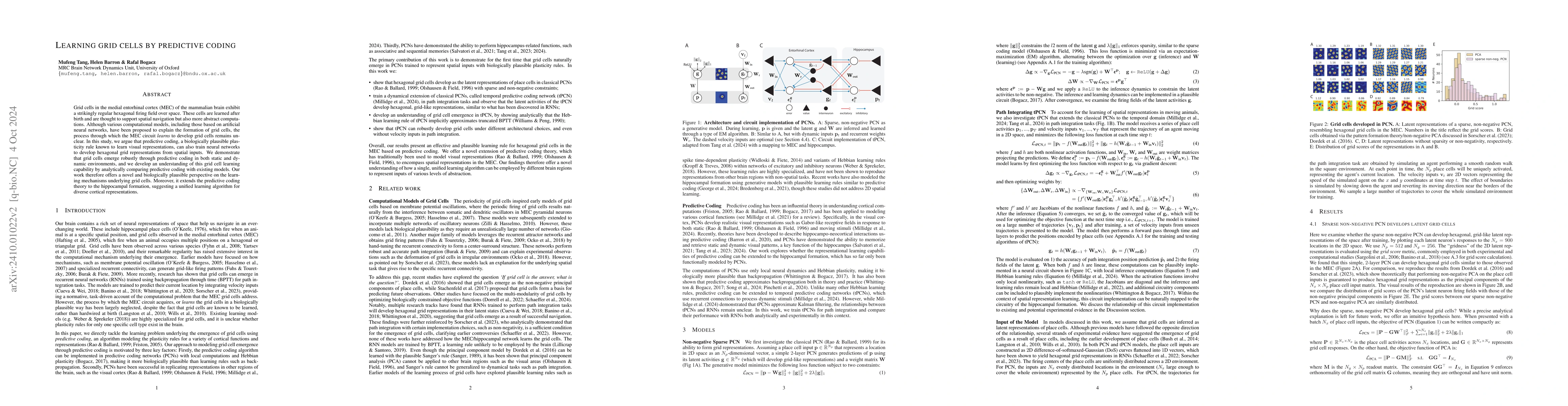 Thumbnail for Learning grid cells by predictive coding