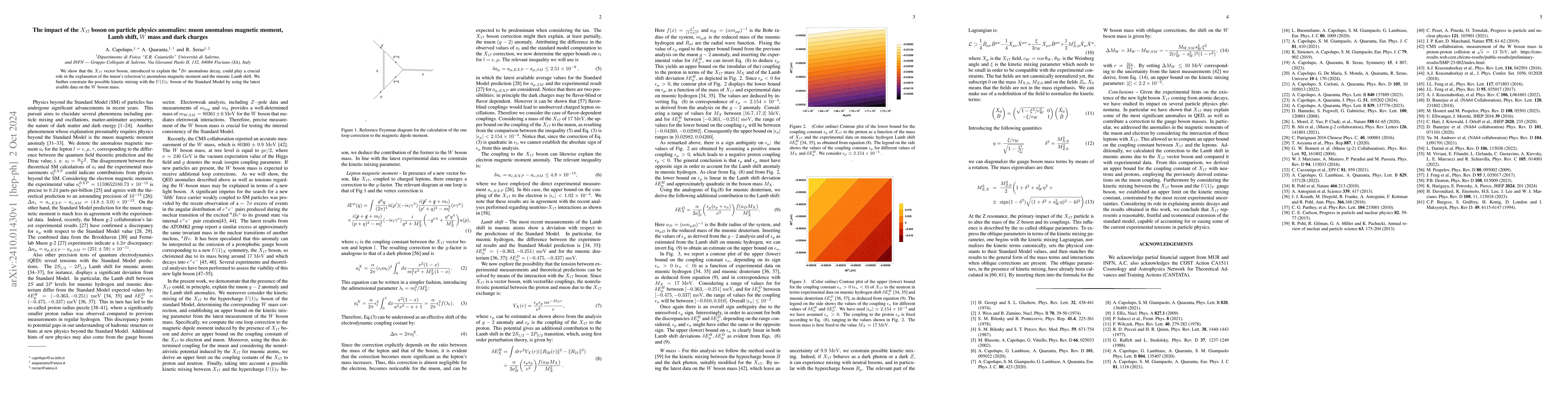Thumbnail for The impact of the X17 boson on particle physics anomalies: muon
  anomalous magnetic moment, Lamb shift, W mass and dark charges