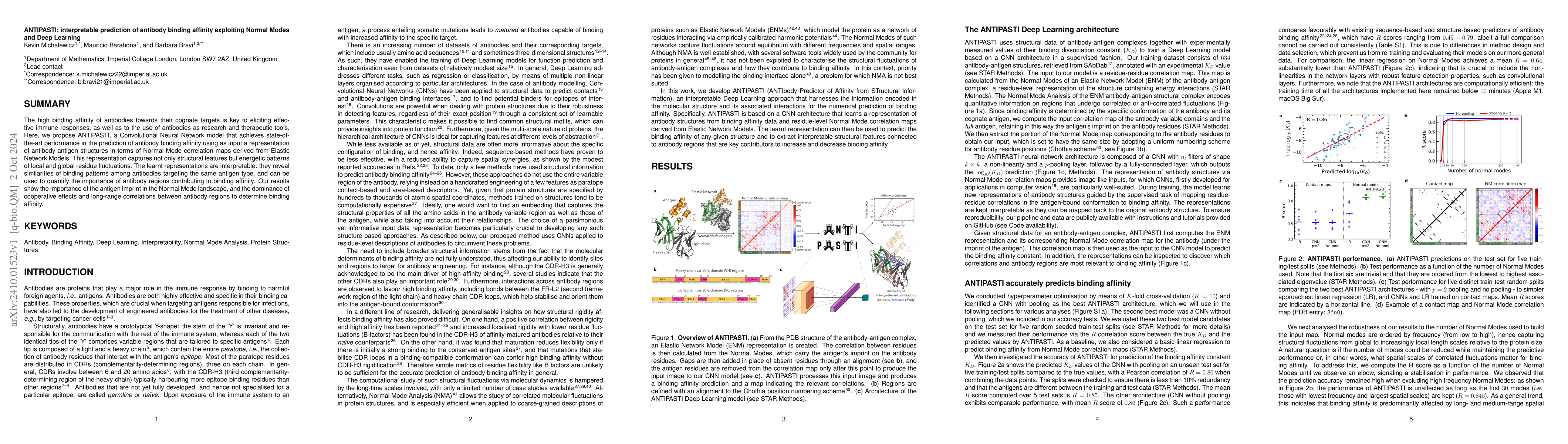 Thumbnail for ANTIPASTI: interpretable prediction of antibody binding affinity
  exploiting Normal Modes and Deep Learning