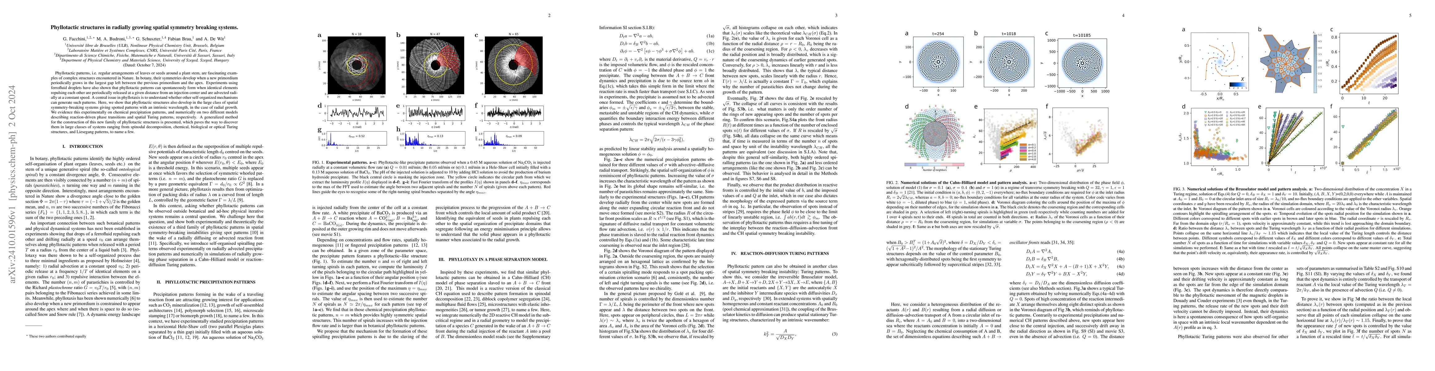 Thumbnail for Phyllotactic structures in radially growing spatial symmetry breaking
  systems