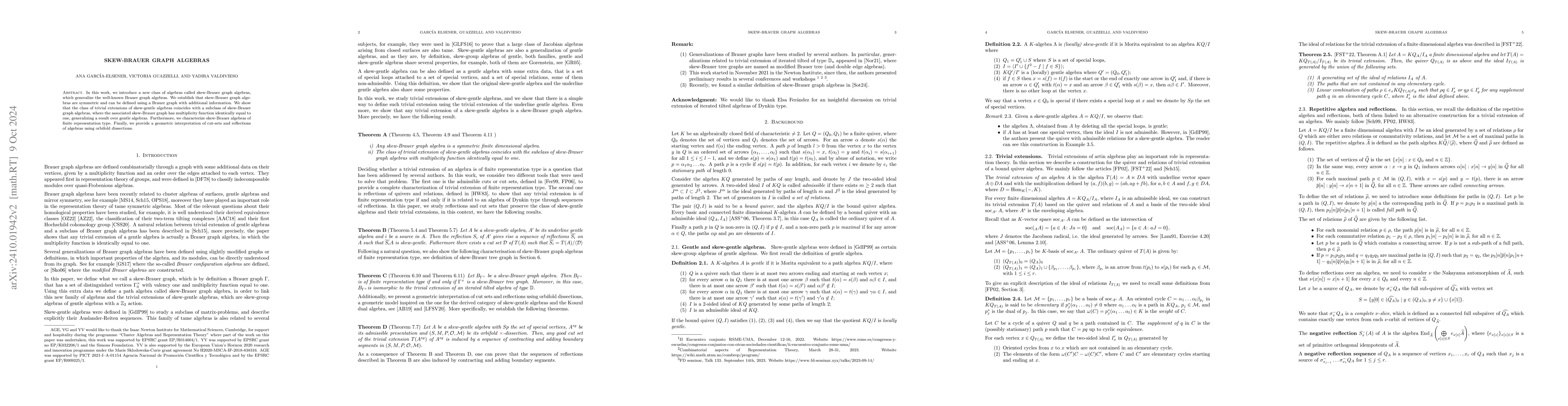 Thumbnail for Skew-Brauer graph algebras