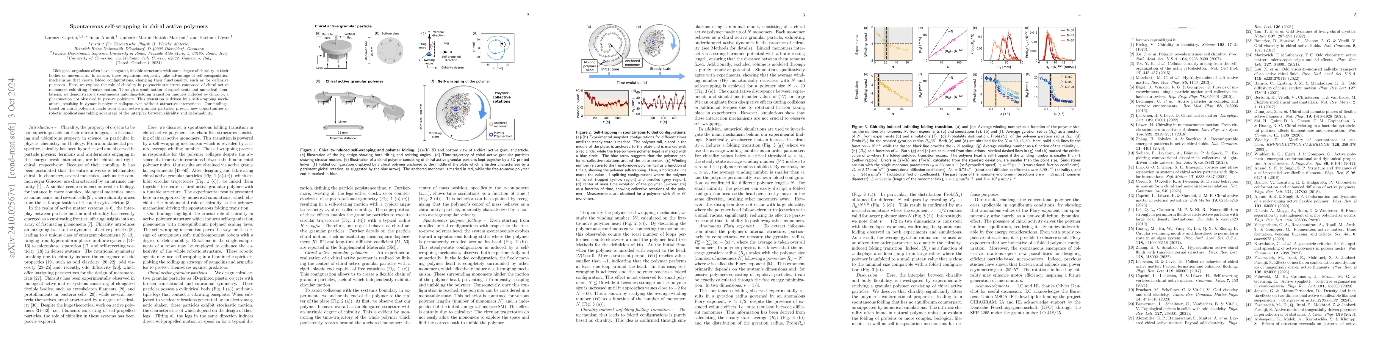 Thumbnail for Spontaneous self-wrapping in chiral active polymers