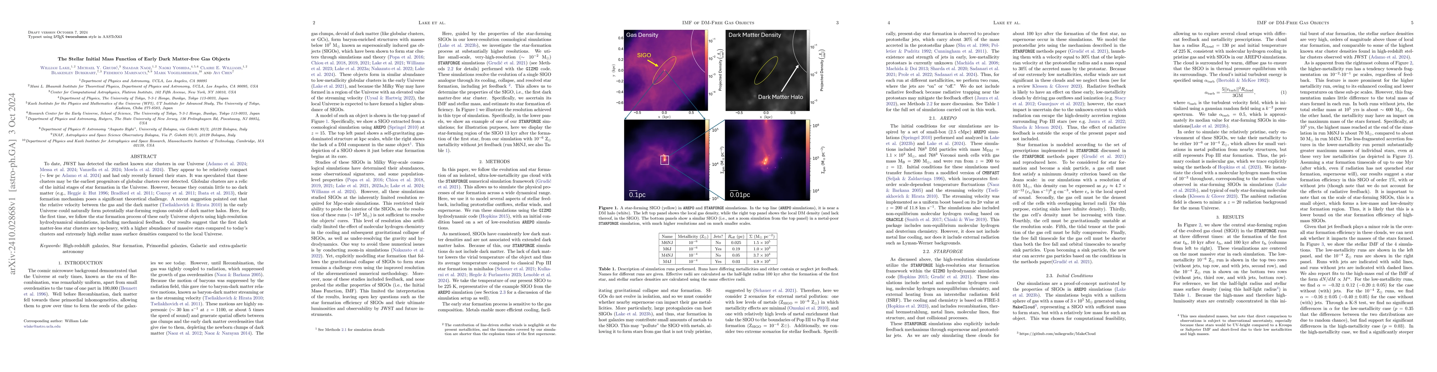 Thumbnail for The Stellar Initial Mass Function of Early Dark Matter-free Gas Objects