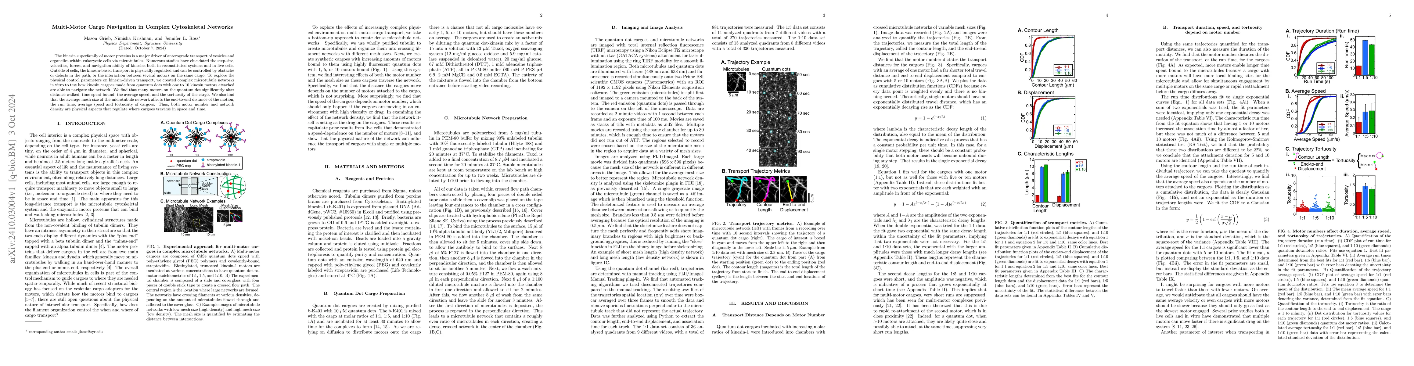 Thumbnail for Multi-Motor Cargo Navigation in Complex Cytoskeletal Networks