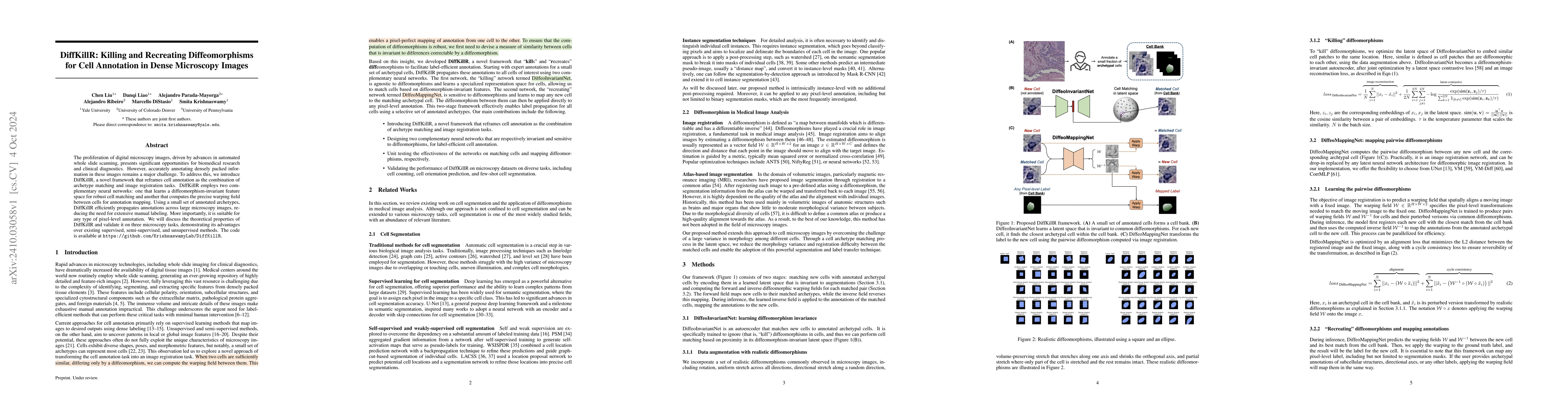 Thumbnail for DiffKillR: Killing and Recreating Diffeomorphisms for Cell Annotation in
  Dense Microscopy Images