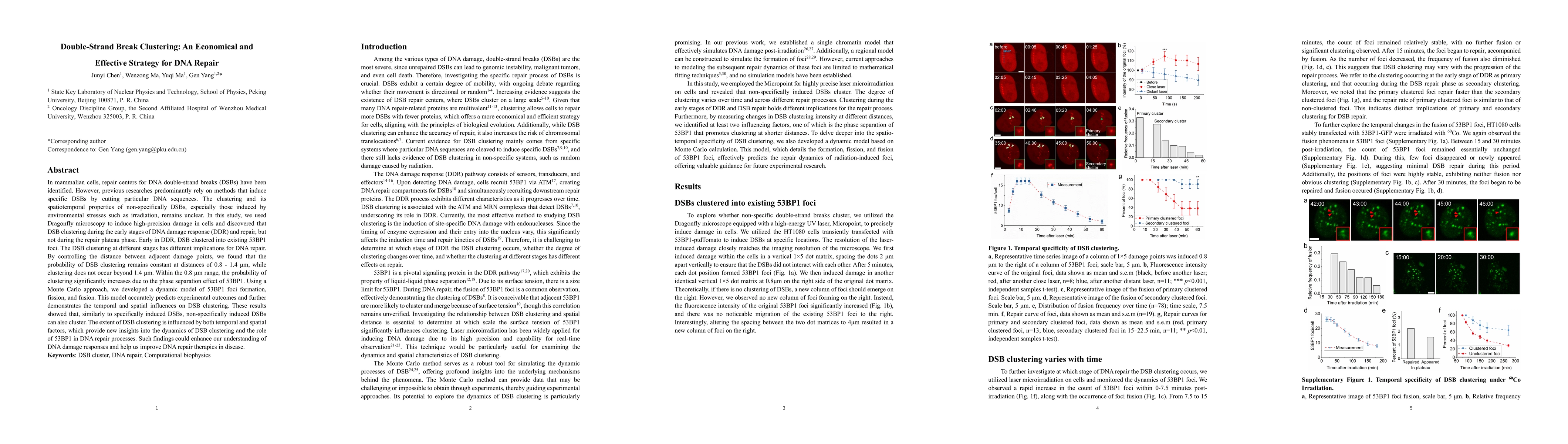 Thumbnail for Double-Strand Break Clustering: An Economical and Effective Strategy for
  DNA Repair