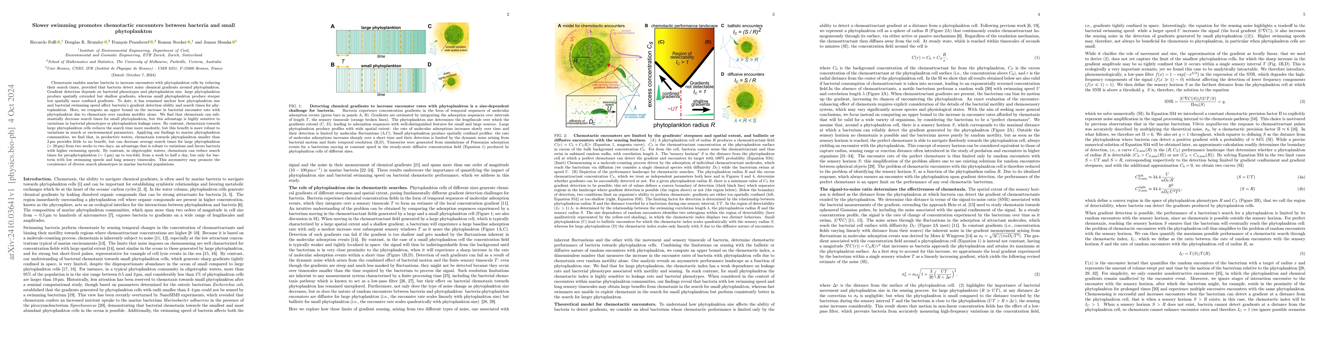Thumbnail for Slower swimming promotes chemotactic encounters between bacteria and
  small phytoplankton