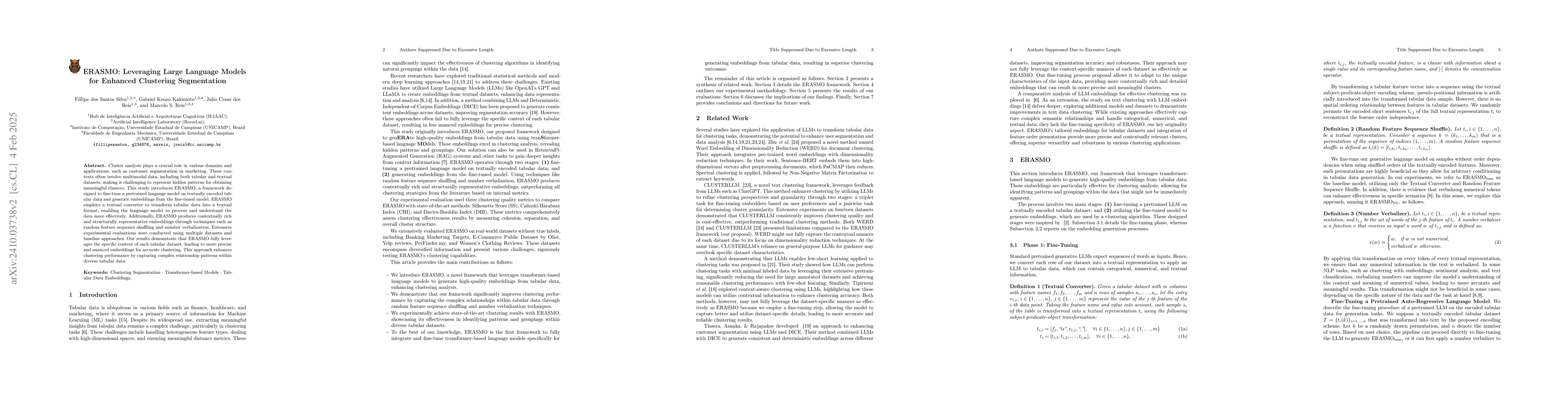 Thumbnail for ERASMO: Leveraging Large Language Models for Enhanced Clustering
  Segmentation