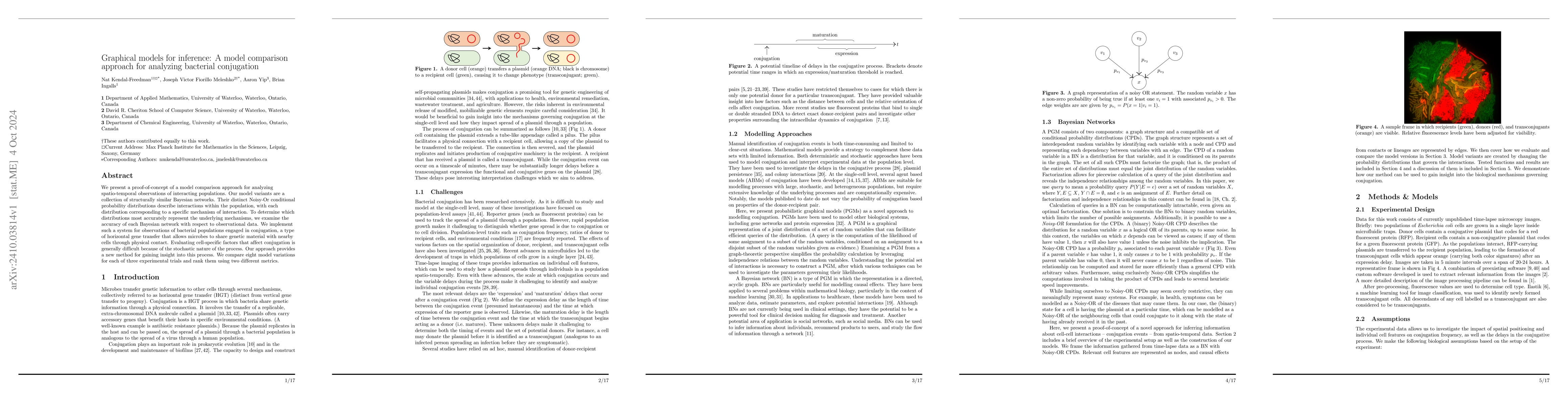 Thumbnail for Graphical models for inference: A model comparison approach for
  analyzing bacterial conjugation