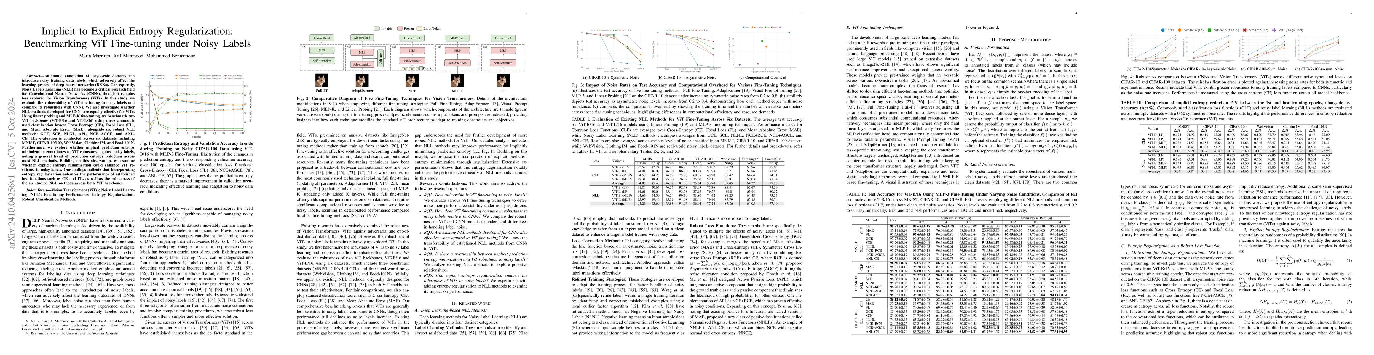Thumbnail for Implicit to Explicit Entropy Regularization: Benchmarking ViT
  Fine-tuning under Noisy Labels