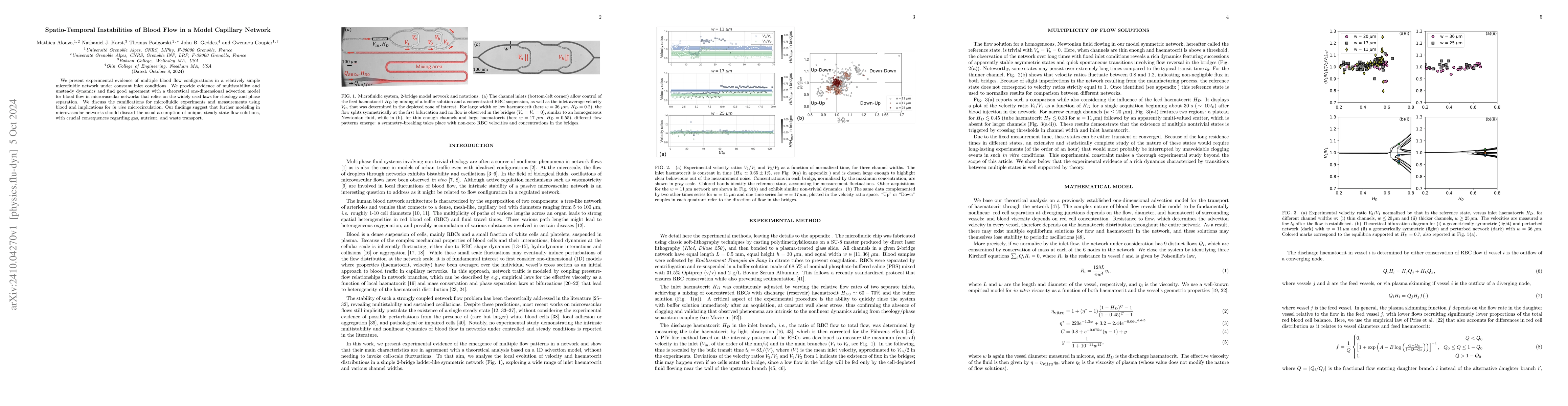 Thumbnail for Spatio-Temporal Instabilities of Blood Flow in a Model Capillary Network