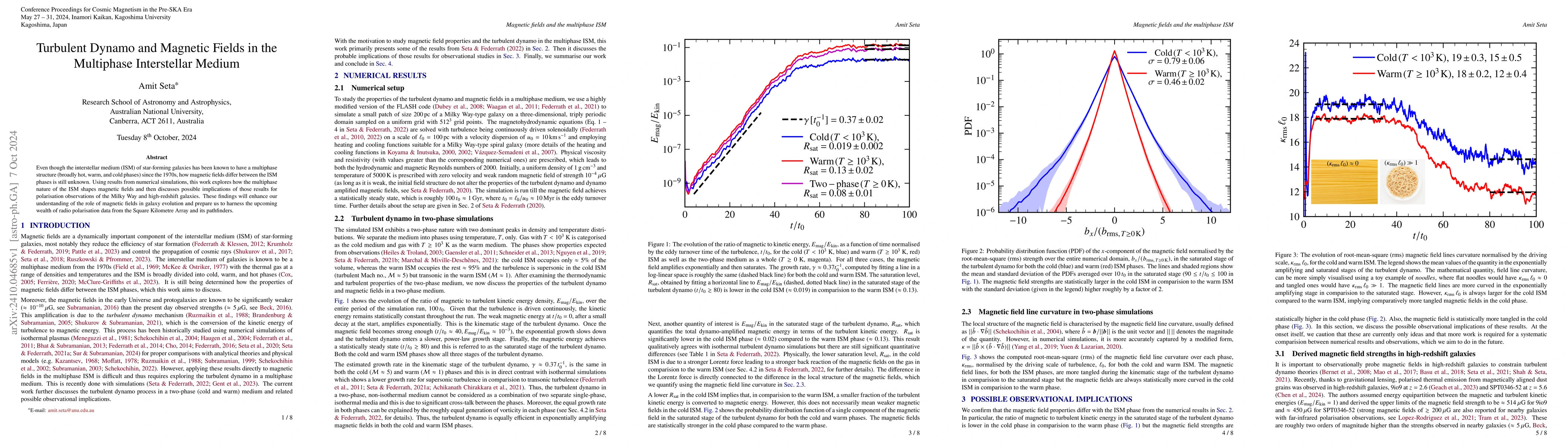 Thumbnail for Turbulent Dynamo and Magnetic Fields in the Multiphase Interstellar
  Medium