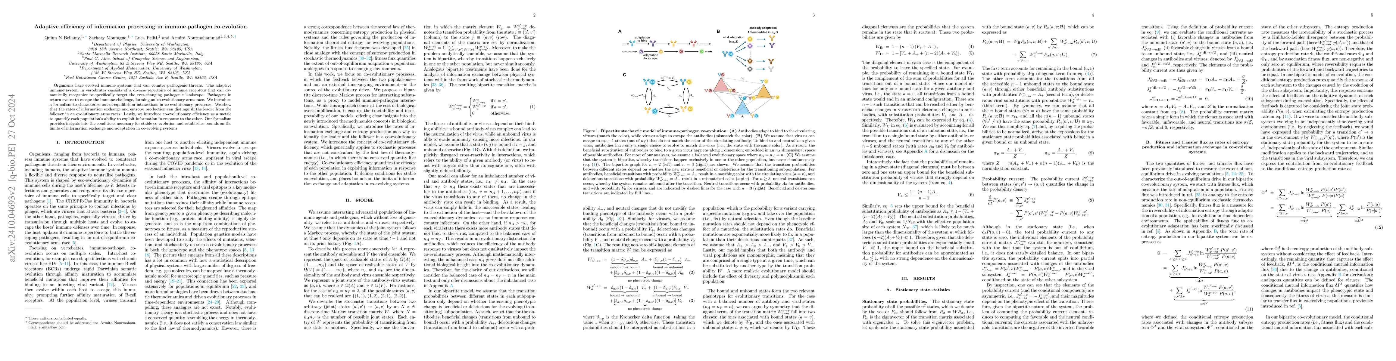 Thumbnail for Adaptive efficiency of information processing in immune-pathogen
  co-evolution